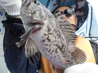 경기권조황 - 5월20일오이도유성호