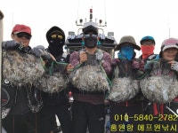 쭈.갑 먹물조황+ - 2018년 10월 16일 홍원항 에프원낚시 『메르세데스호』 쭈꾸미조황 (대~~~박~~ 조황)