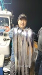 출조안내 - [완도오렌지선단 1호조황] 완도권 3지이상 전원 얼음없이 쿨러대박 내일 자리여유 010 6479 6989