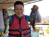 가두리좌대낚시 - 7월13일 무더웠던 하루 달빛좌대 자연산 우럭 조황정보