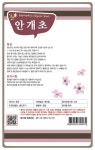 화훼 허브씨앗 안개초 분홍색 : 꽃/야생화 씨앗 - 엑스플랜트