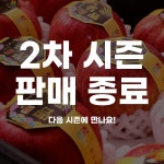 [초신선] 경북 홍로 햇사과 선물세트 5Kg (11~15과) | 수산/건어물 - 푸드장 [초신선] 경북 홍로 햇사과 선물세트 5Kg (11~15과)