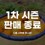 푸드장 - 즐거운 식탁 [초신선] 제주 조생 감귤
