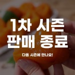 [초신선] 충북 영동 반건시 곶감 선물세트 | 수산/건어물 - 푸드장 [초신선] 충북 영동 반건시 곶감 선물세트