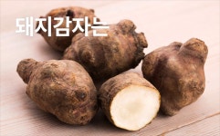 텐바이텐 10X10 : 차예마을 국내산 돼지감자 차 170g_(11198262)