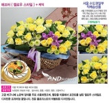 [서울/수도권일부] 에프터(옐로우스타일)+케익