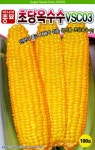 (씨앗) 초당옥수수 - 생식이 가능하며 당도가 높은 설탕옥수수 씨앗 종자 - 100립 : 채소/곡물 씨앗 - 엑스플랜트