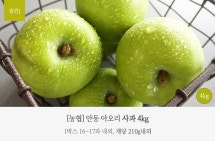 [농협/GAP]名品 안동 아오리 사과 4kg (개당210g내외,1박스 16~17과 내외) [선별과,프레시데이]_간편보기_동원몰