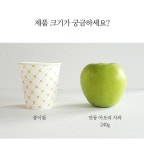 [농협/GAP]名品 안동 아오리 사과 4kg (개당210g내외,1박스 16~17과 내외) [선별과,프레시데이]_간편보기_동원몰