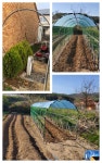 135x150cm 5개 텃밭 농막 그늘막 옥상 창고 주말농장 다육이 고추건조 조립식 미니 비닐하우스 파이프 자재 : 원예자재 기타부자재 - 엑스플랜트