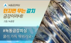 출조안내 - 고흥 녹동 금강피싱 금강호 먼바다 갈치낚시 기상만 좋으면 매일매일 출조합니다. 던지면 무는갈치 쿨러가득 채워가길... 