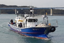 출조안내 - 고흥 녹동 금강피싱 금강1호, 2호 공해상 먼바다 갈치낚시 1박2일 / 2박3일 ,우럭낚시, 열기낚시, 참돔낚시, 갯바위낚시, 선상낚시... 