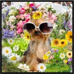 Untitled #3735 - Polyvore Untitled #3735