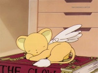 담 (@ask_dam) — 30 answers, 2 likes | ASKfm 담 (@ask_dam). Ask me anything on ASKfm