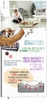 레드팟 미스터펫 XXL 개집 고양이집 애완용품 애견용품 애견하우스 - 사는 게 즐겁다! 롯데닷컴