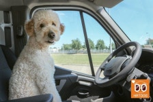 게임뉴스 모든공략 정보 헝그리앱