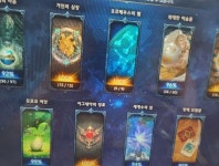 로아 내실전문 부주 대리 : 로스트아크 헝그리앱