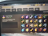 (SOLD) Youngjip 13s vip 14 (pet 1 invincible, 2 tough, 2 clean) : 킹덤스토리 - 헝그리앱