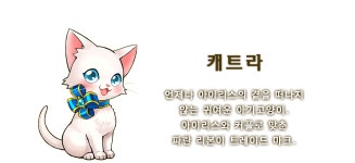 하얀고양이 프로젝트