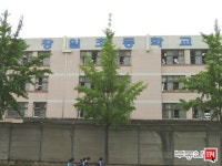 내집마련을 넘어 투자까지 부동산114