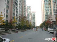 내집마련을 넘어 투자까지 부동산114