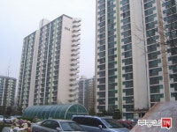 내집마련을 넘어 투자까지 부동산114