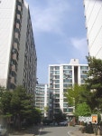 경기도 수원시 권선동 대원,신동아 아파트 매물 정보 - 부동산114  아파트 권선동 대원,신동아