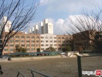 내집마련을 넘어 투자까지 부동산114