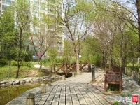 경기도 용인시 언남동 하마비동일하이빌1차 아파트 시세 정보 - 부동산114  내집마련을 넘어 투자까지 부동산114