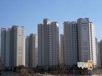 내집마련을 넘어 투자까지 부동산114