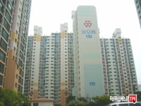 내집마련을 넘어 투자까지 부동산114