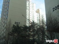 내집마련을 넘어 투자까지 부동산114