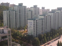 경기도 성남시 구미동 무지개건영10단지 아파트 시세 정보 - 부동산114  내집마련을 넘어 투자까지 부동산114