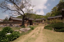 안동 천전 의성김씨