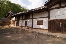 안동 법흥 고성이씨 임청각