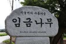 진주 운문 진양하씨