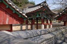 고창ㆍ고부 광산김씨