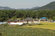 한국고문서자료관 ::: 소장고문서 특징