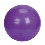Sunny Health & Fitness 65 cm Exercise Ball | Academy