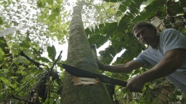 Primal Survivor - National Geographic Channel - Abu Dhabi Photos - Primal Survivor - National Geographic Channel - Abu Dhabi... 