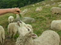 피서지따라 사진여행 ::: 82cook.com