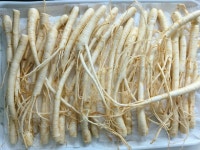 금산인삼 삼계삼 중 수삼 750g 3~5년 40~60뿌리 - 에누리 가격비교