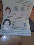 네발로코리아 전설의개껌 단호박 돈피 10p [10개] - 에누리 가격비교