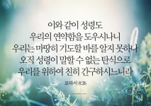 이화SMP 박지성 에어보드 최저가 검색 - 에누리가격비교 이화SMP 박지성 에어보드 < 유산소운동 < 헬스,요가 [에누리 가격비교]