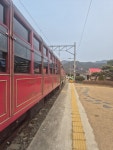 필립스 NT1620/15 - 에누리 가격비교
