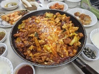 성화푸드 춘천 달수닭갈비 한입 양념 닭갈비 1kg [1개] - 에누리 가격비교