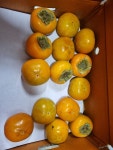 별고을청과 경남부유단감흠과 특가 가정용 품종랜덤 10kg [1개] - 에누리 가격비교