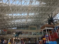 비발디파크 오션월드 종일권 + 실외락커 [전일, 소인1] - 에누리 가격비교