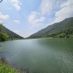 장죽 수세미 [1팩(10개)] - 에누리 가격비교