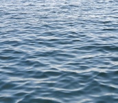 부산 다대포 내만권 다녀왔는데...